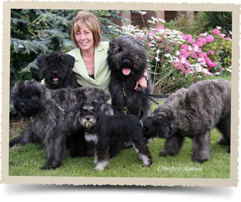 chantal bouvier|bouvier des flandres health problems.